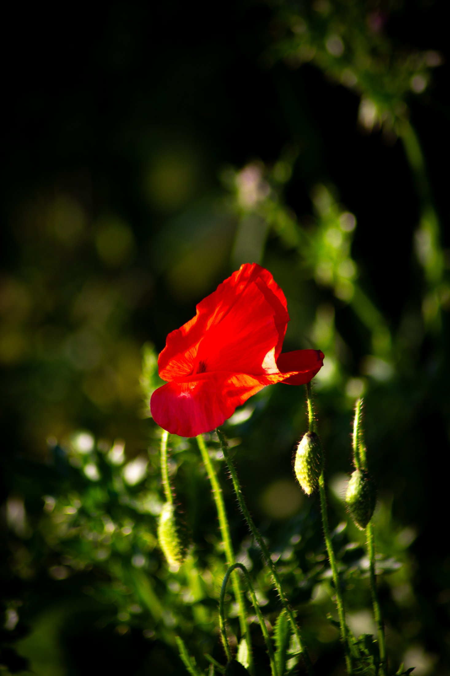 Beauty By Nature - Frame 1